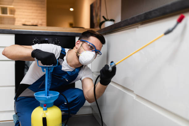 Best Rat Extermination Near Me  in Centralia, IL