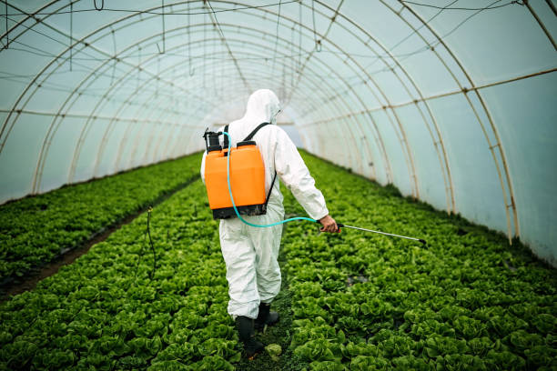 Best Pest Prevention Services  in Centralia, IL