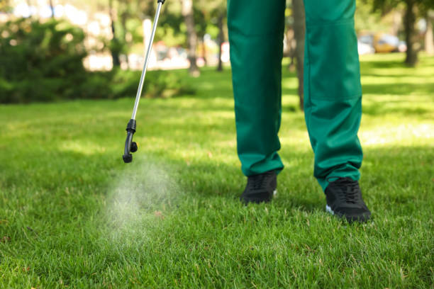 Insect Control in Centralia, IL