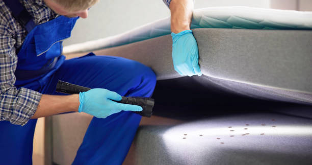 Best Affordable Pest Control Services  in Centralia, IL